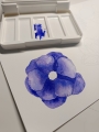 Bild 4 von Ausmalbilder: Blüten Parade